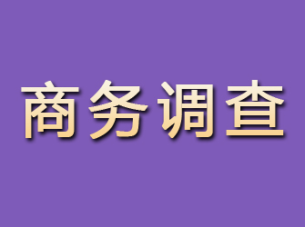 蔡甸商务调查