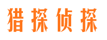 蔡甸市场调查